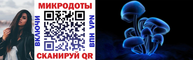 купить   Ефремов  omg ONION  Псилоцибиновые грибы Psilocybe 